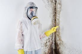 Why You Should Choose Our Mold Remediation Services in Rockwell, AR